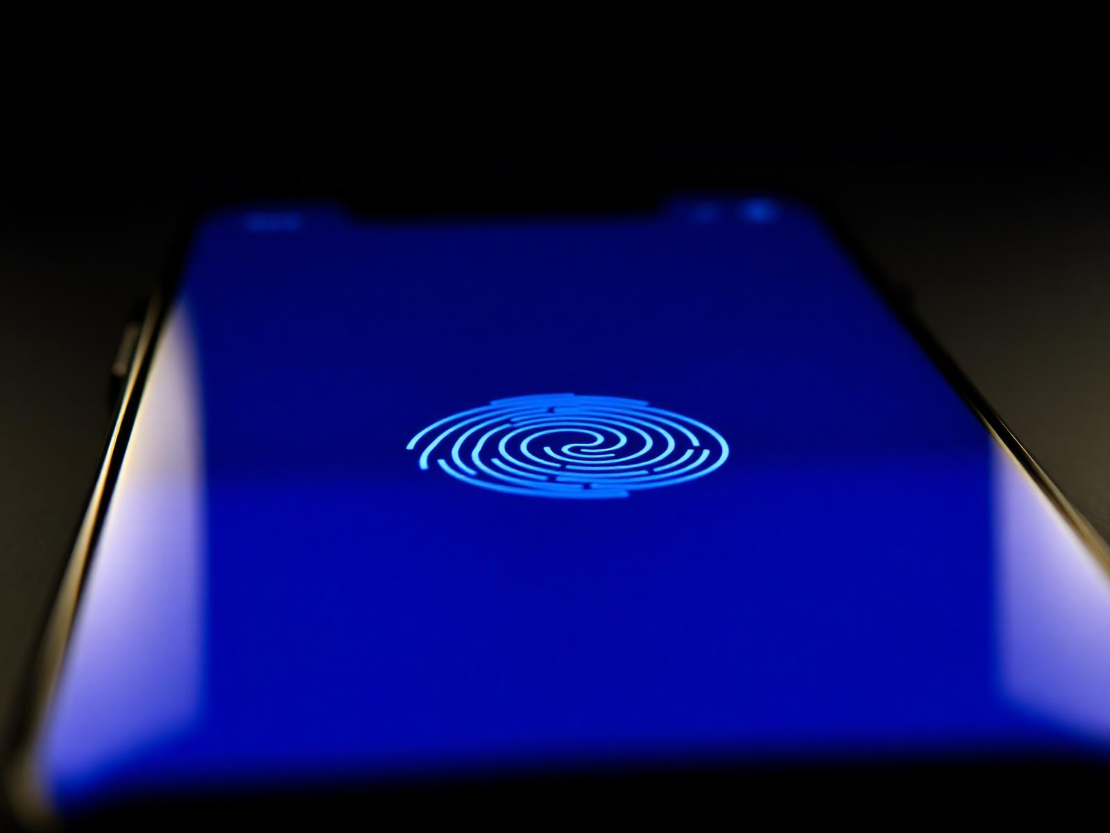 Biometric verification interface — Chagunda Digital